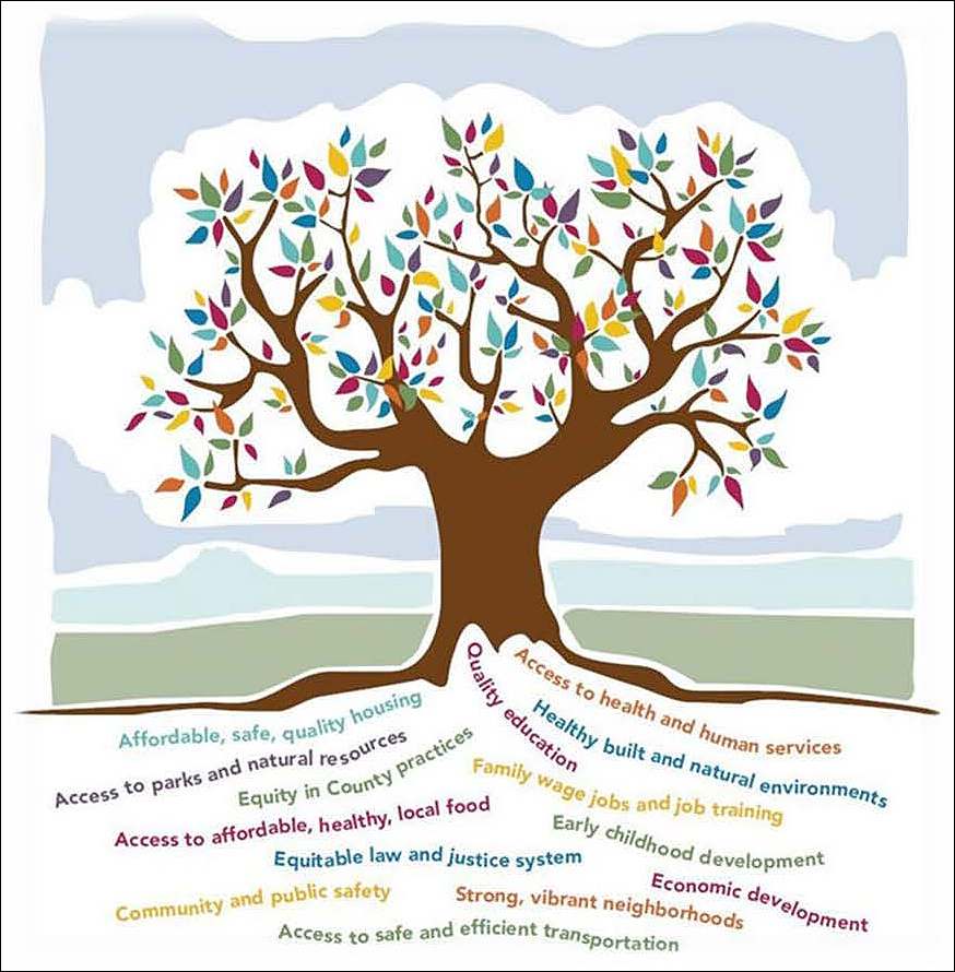 Illustration of a tree whose roots are formed by social determinants of health, such as "quality education" and "access to safe and efficient transportation."
